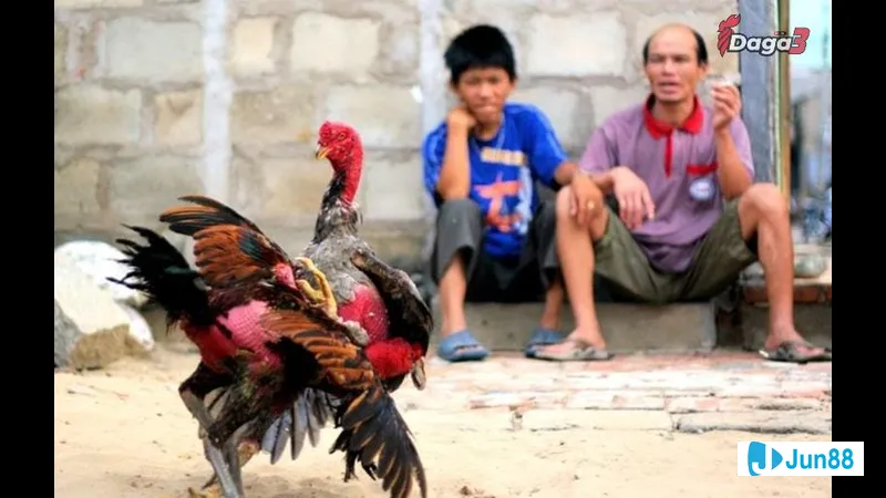 đôi nam nữ đi dạo trên bãi biển Đôi nam nữ đi dạo trên bãi biển